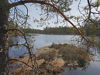 Storen_20190422_5cbdc962c4c02.jpg