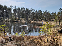 Storen_20190422_5cbdc963f2169.jpg