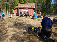 Storen_20190422_5cbdc9669e0a9.jpg