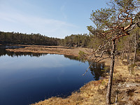 Storen_20190422_5cbdc9673ba48.jpg