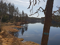 Storen_20190422_5cbdc96897eae.jpg