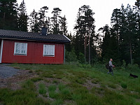 Storen_20190623_5d0ede860b101.jpg