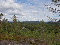 Storen_20190706_5d209595edb0b.jpg