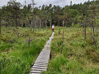 Storen_20190706_5d209596ef103.jpg
