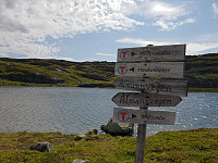 Storen_20190717_5d2f31f0c41d3.jpg