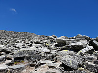 Storen_20190727_5d3c7474a4b3e.jpg