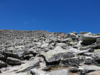 Storen_20190727_5d3c74752f032.jpg