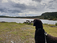 Storen_20190823_5d5fe2bc34389.jpg