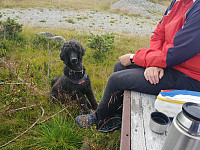 Storen_20190824_5d61306ac4ad1.jpg