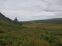 Storen_20190824_5d61306bcc2bf.jpg