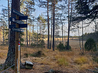 Storen_20191013_5da34aee89e16.jpg