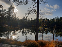 Storen_20191013_5da34aef35686.jpg