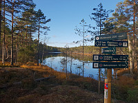 Storen_20191013_5da34af062798.jpg