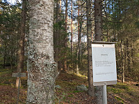 Storen_20191013_5da34af100e92.jpg
