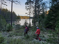 Storen_20200119_5e246ee634398.jpg
