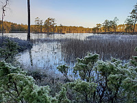 Storen_20200119_5e246ee6acf73.jpg