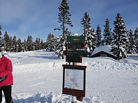 Storen_20200306_5e624d6a18738.jpg