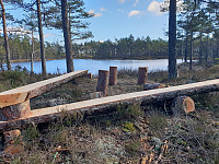 Storen_20200311_5e6910db4010b.jpg