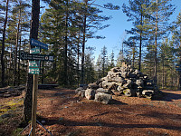 Storen_20200311_5e6910dc869f8.jpg
