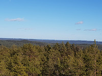 Storen_20200311_5e6910e2034cb.jpg