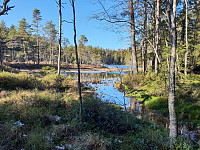 Storen_20200311_5e6910e31e51e.jpg