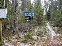 Storen_20200314_5e6cff81c4648.jpg