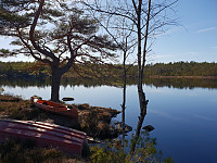 Storen_20200321_5e763da36f701.jpg