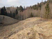 Storen_20200325_5e7b82030aee2.jpg