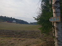 Storen_20200325_5e7b8204d337b.jpg