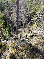 Storen_20200409_5e8f06ac90c93.jpg