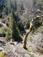 Storen_20200409_5e8f06ad2de4b.jpg