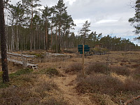 Storen_20200412_5e9341a7b5aff.jpg