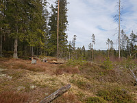 Storen_20200412_5e9341aa00d69.jpg