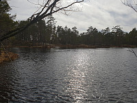 Storen_20200412_5e9341aa7d517.jpg