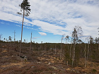Storen_20200412_5e9341ad28073.jpg