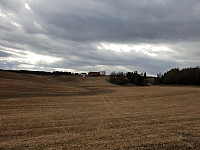 Storen_20200412_5e9341b0c7d58.jpg