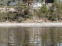 Storen_20200423_5ea1c063a28d6.jpg