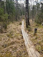 Storen_20200425_5ea43c5ec0768.jpg
