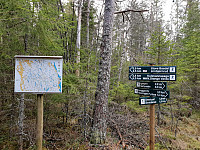Storen_20200429_5ea986780ad31.jpg