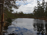 Storen_20200429_5ea9867a4de7e.jpg