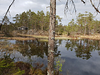 Storen_20200429_5ea9867bed4aa.jpg