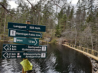 Storen_20200429_5ea9867f3f0f7.jpg