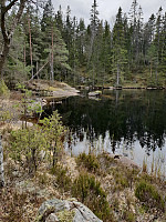 Storen_20200429_5ea9868101709.jpg