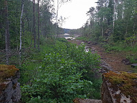 Storen_20200621_5eeebc85489d6.jpg
