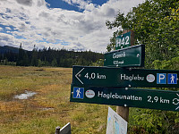 Storen_20200829_5f4a54e400f77.jpg