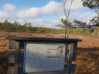 Storen_20201107_5fa6ad8a7cb51.jpg