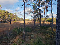Storen_20201107_5fa6ad8b15536.jpg