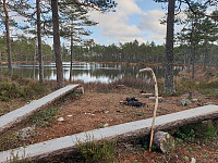 Storen_20201107_5fa6ad8c5586d.jpg