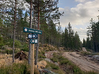 Storen_20201107_5fa6ad8d7d2b8.jpg