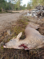Storen_20201107_5fa6ad8e36dae.jpg